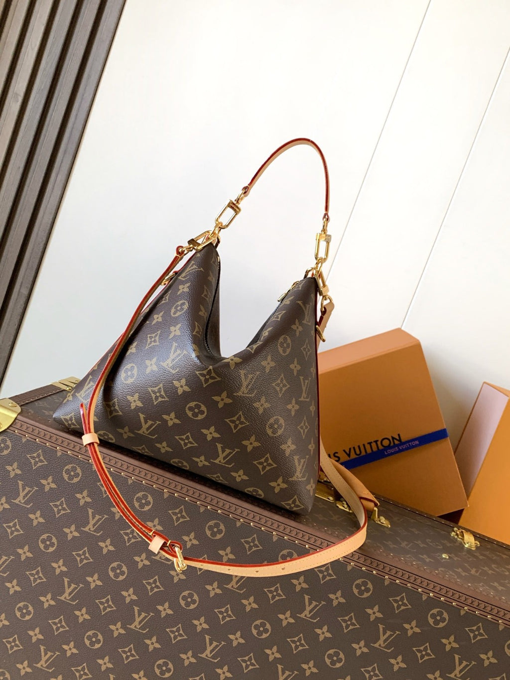 Louis Vuitton Bag Multipass Monogram