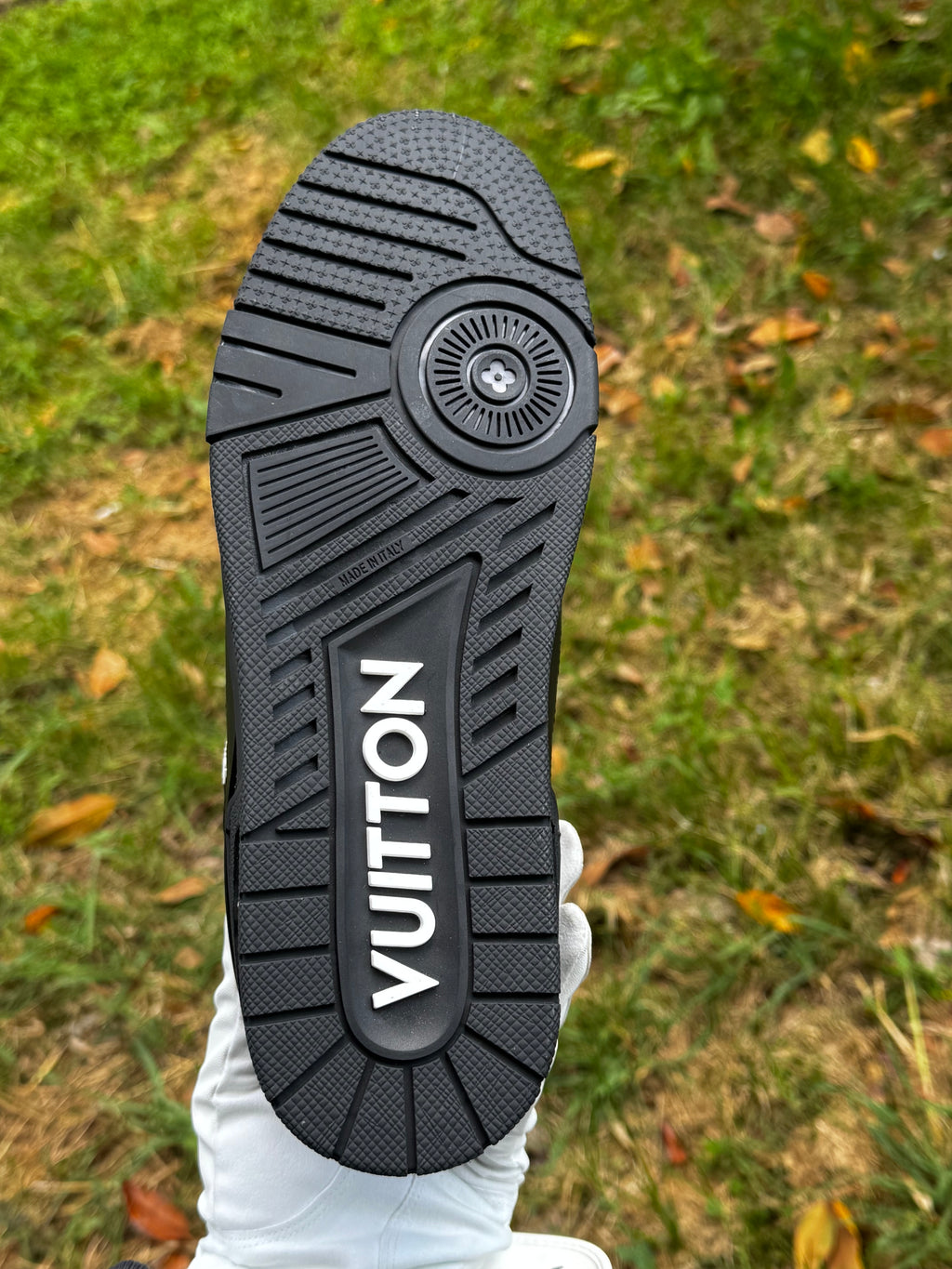 Louis Vuitton Shoes