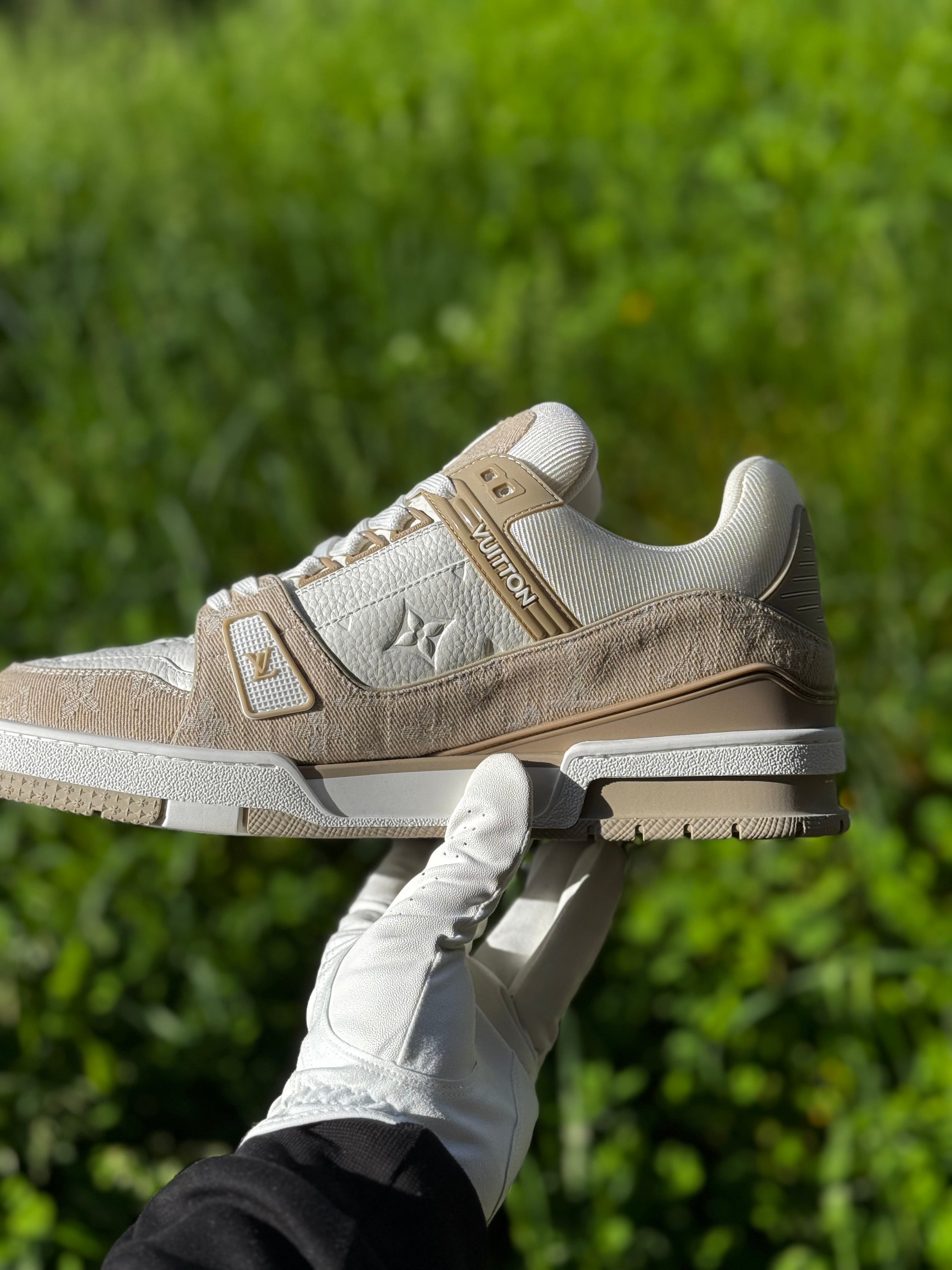 Louis Vuitton Shoes