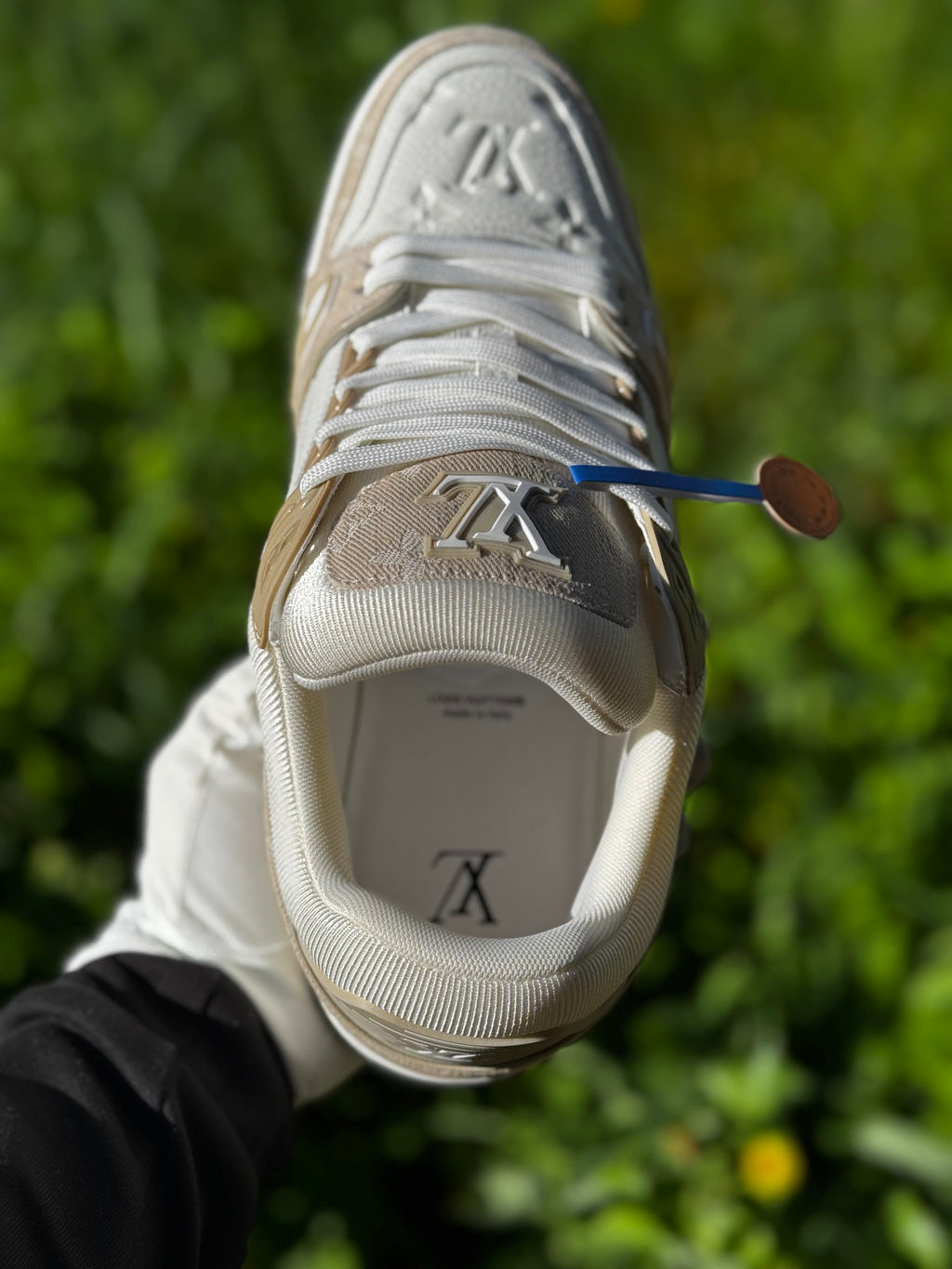 Louis Vuitton Shoes