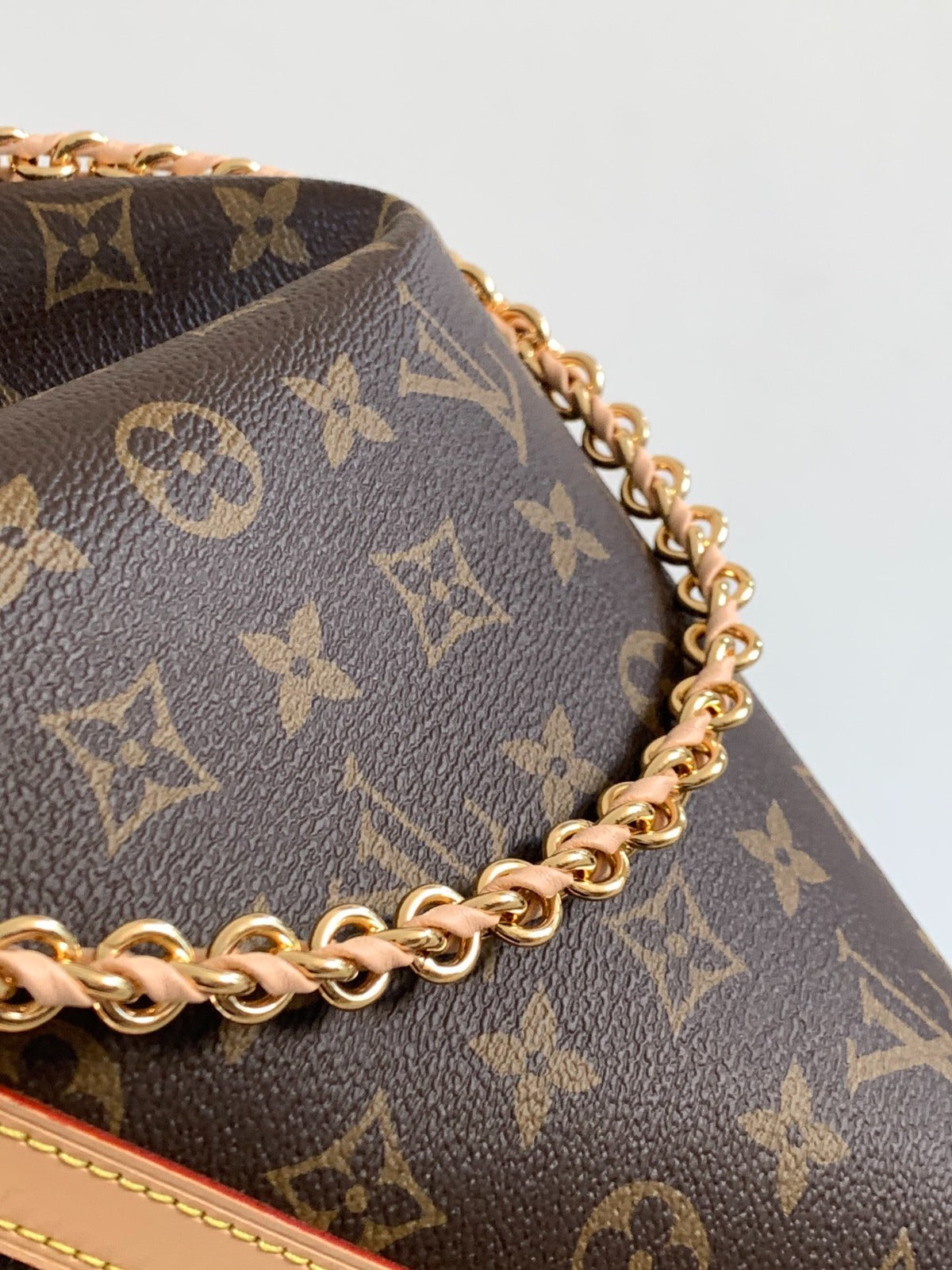 Louis Vuitton Bag Multipass Monogram