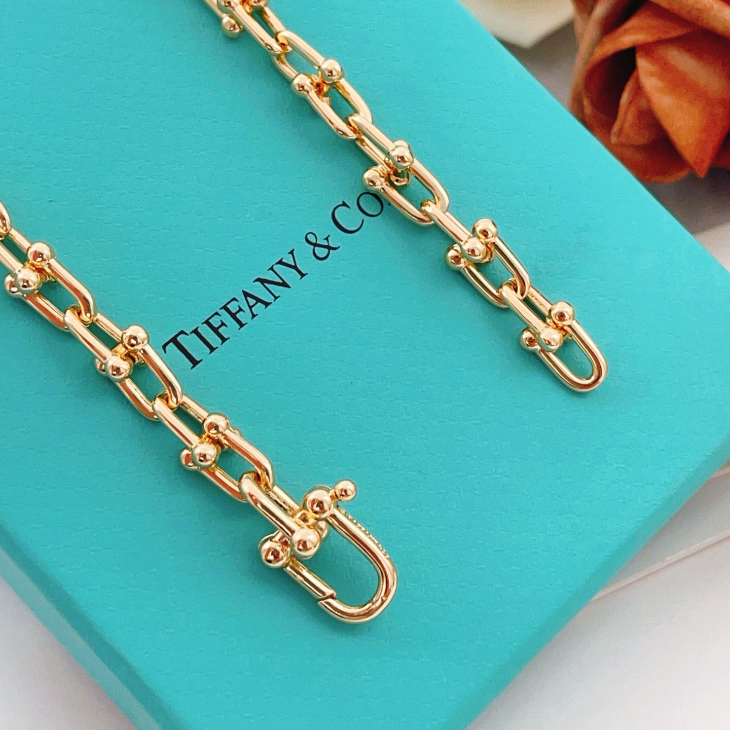 Tiffany & Co Necklace