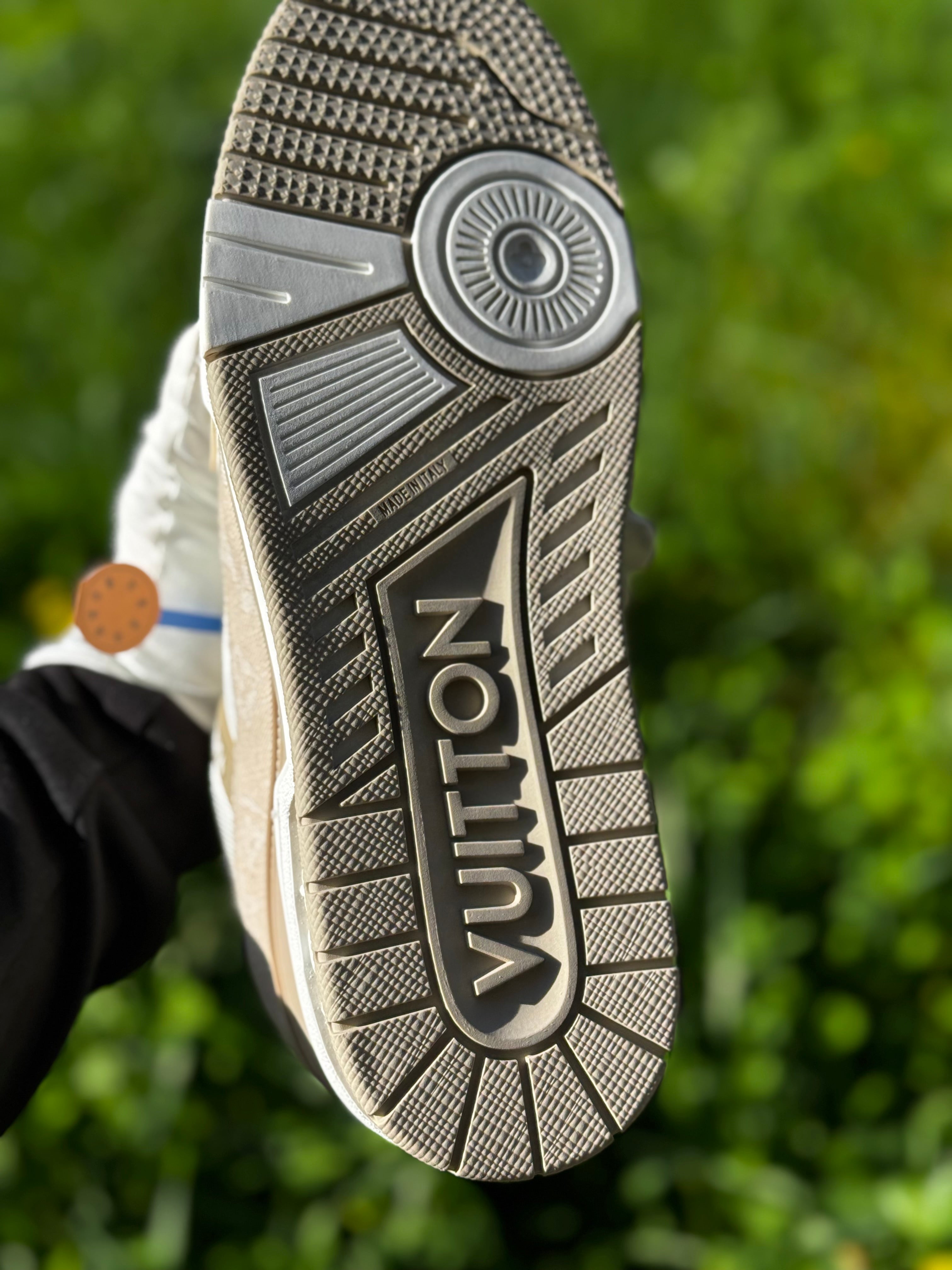 Louis Vuitton Shoes