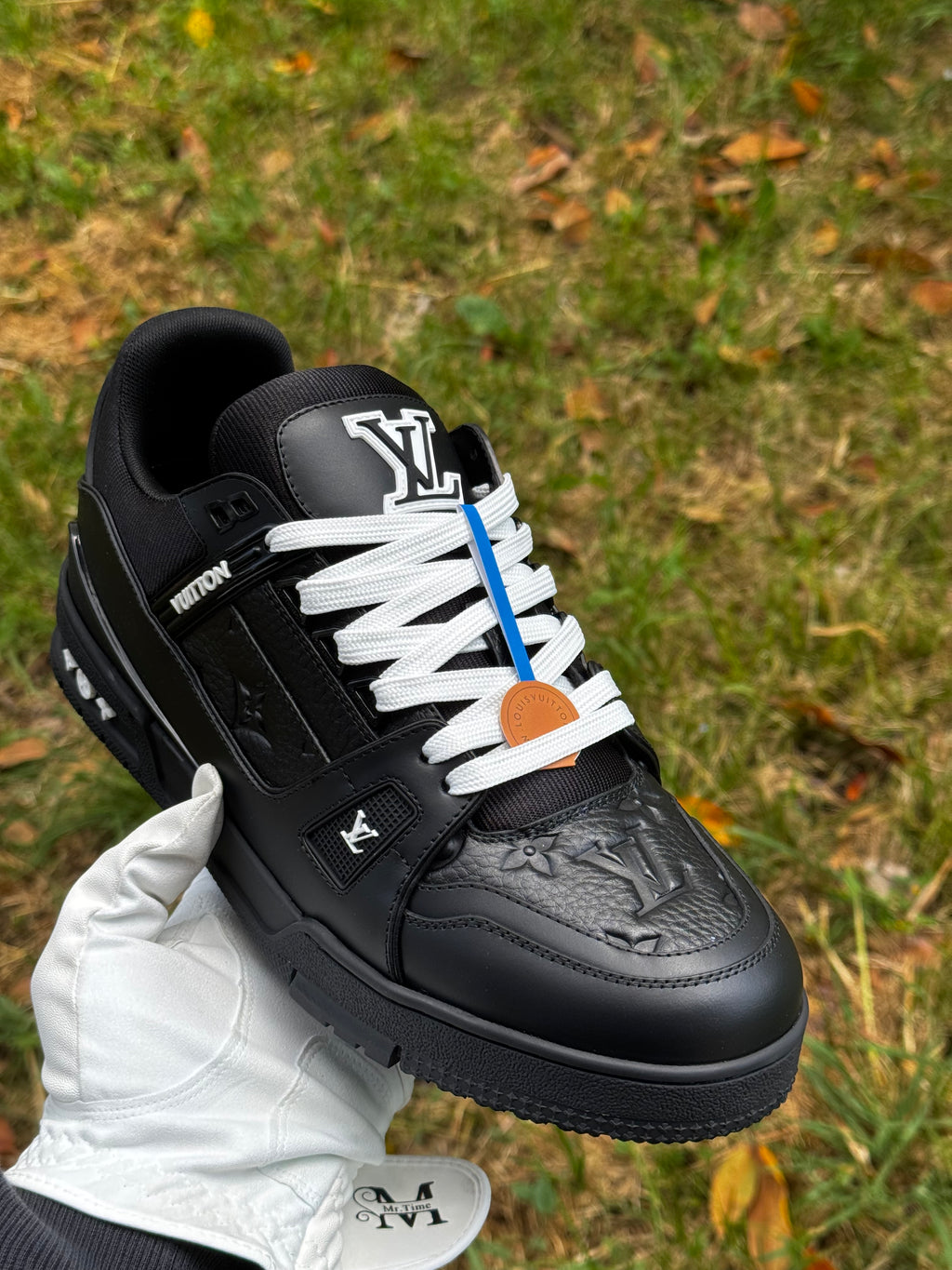 Louis Vuitton Shoes