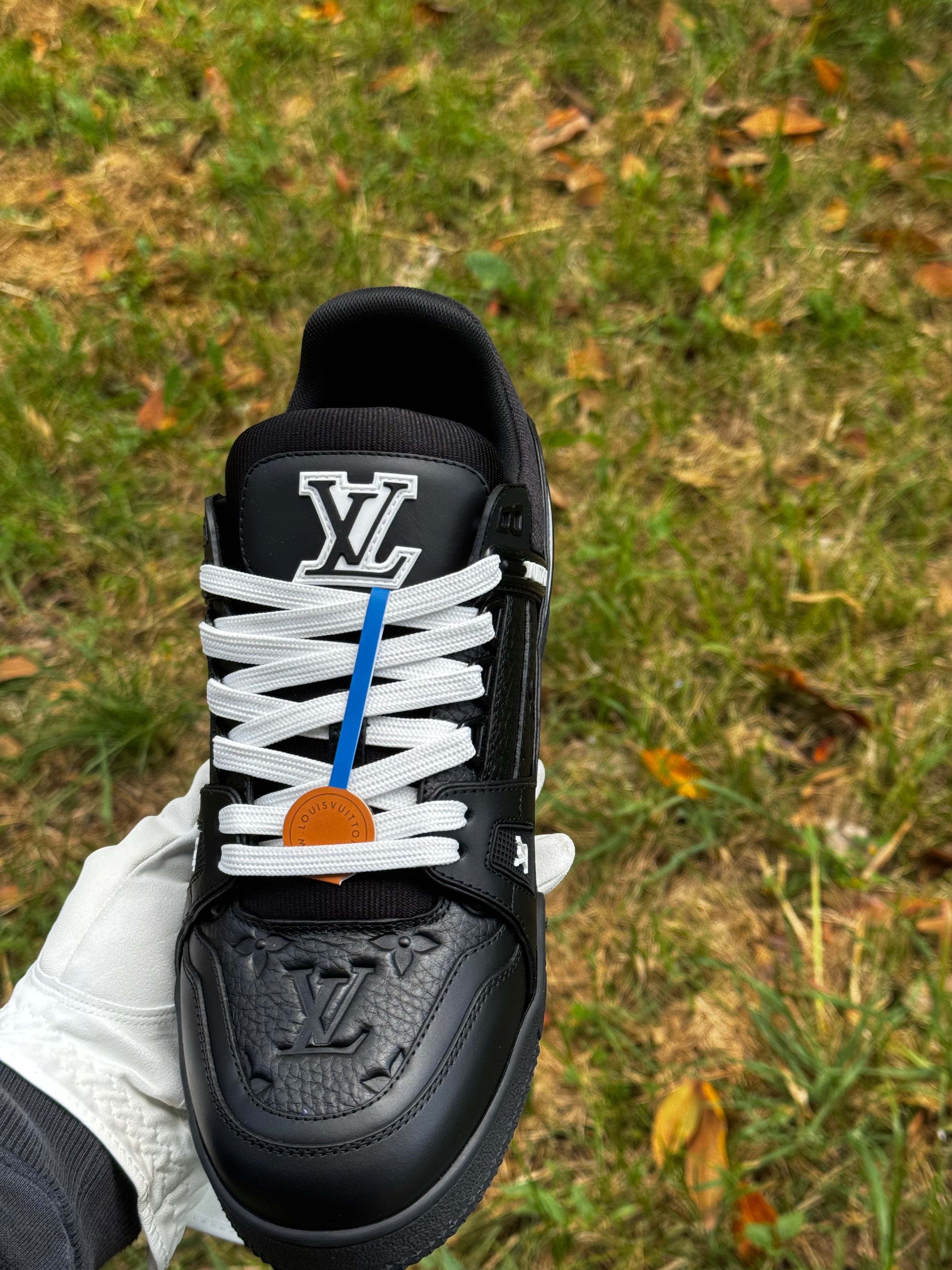Louis Vuitton Shoes