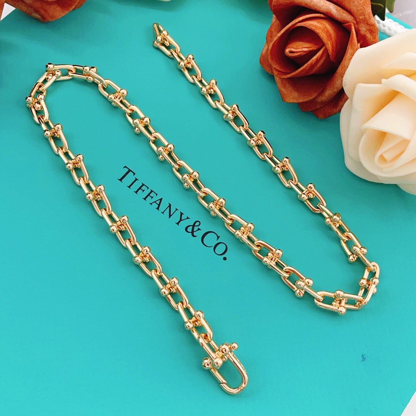 Tiffany & Co Necklace